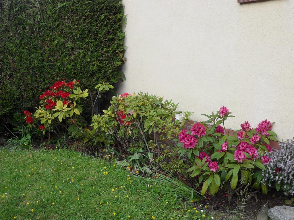 Le D'en Bas Quesnoy-le-Montant